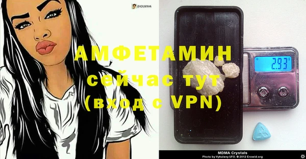 трава Снежногорск