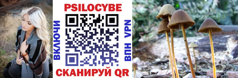 магазин    Новоаннинский  Псилоцибиновые грибы MAGIC MUSHROOMS 