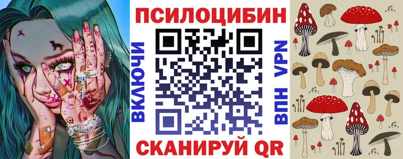 Псилоцибиновые грибы Psilocybe Новоаннинский